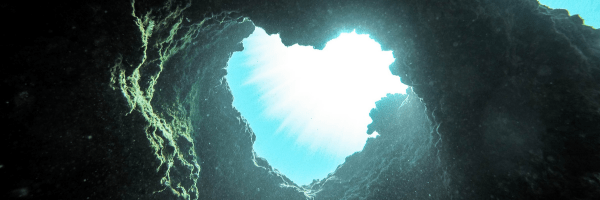 Wisdom of the&nbsp;Water